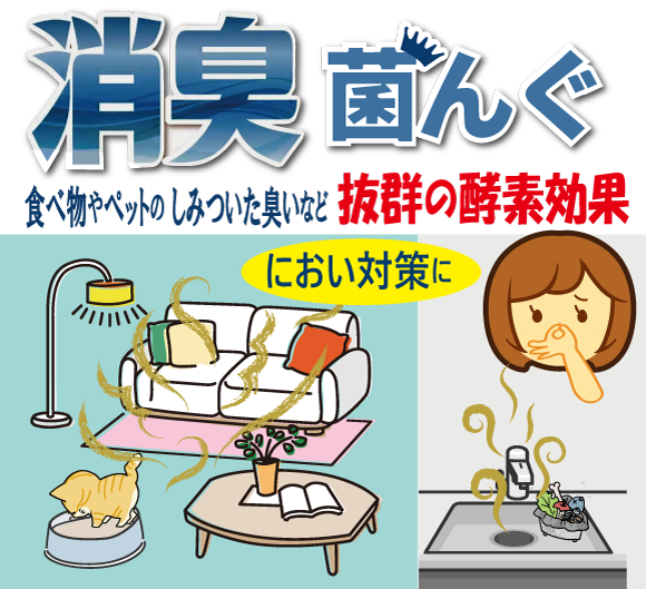 消臭菌んぐ　流すだけ